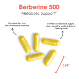 Berberine 500
