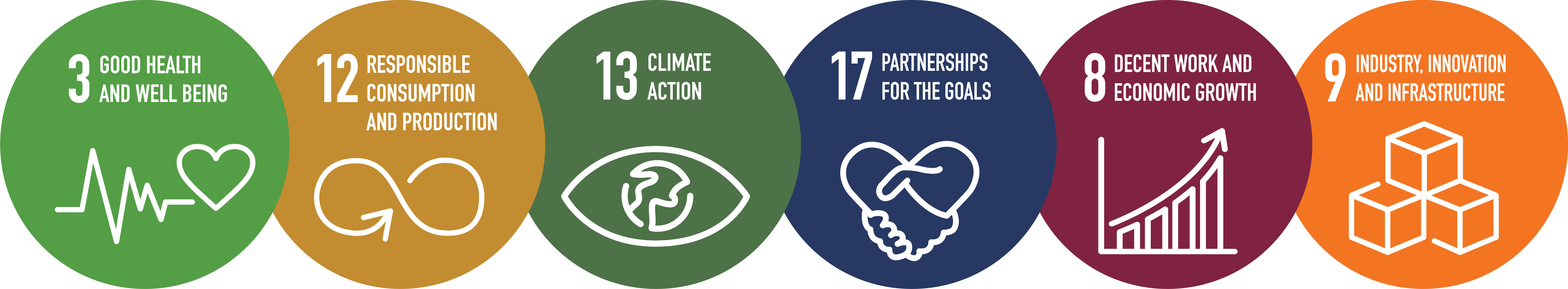 Sustainable Development Goals icons