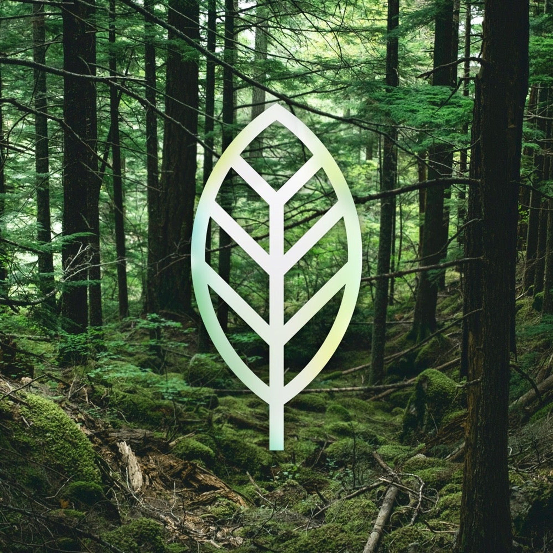 FSC Certification|| FSC, an organization working to protect healthy forests, certified Glass Elite Privacy with its recyclable packaging made from recycled materials.