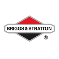 Briggs & Stratton 