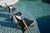 Arden 2 Adirondack Chair, Navy with Natural Teak - Set of 2