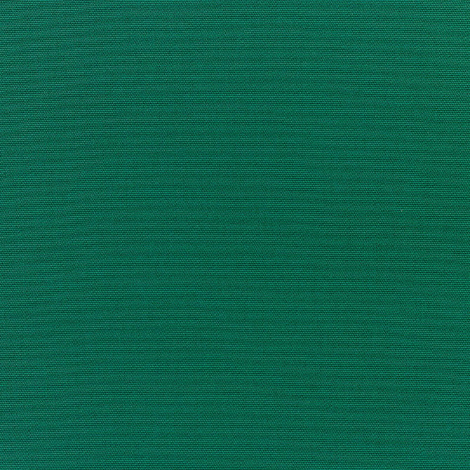 Canvas Forest Green Fabric Swatch