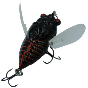 Profishent Humbug Cicada 40MM Profishent Humbug Cicada 40MM
