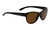 Ugly Fish Polarised Bifocal 2.50 Sunglasses Iris PN5501 Black Frame Brown Lens