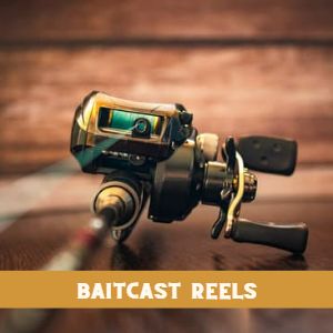 Fishing Reels - Oz Fin Chasers - Coarse Fishing Tackle Store - Australia 