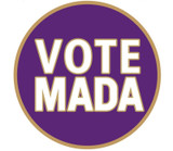 Make America A Democracy Again Pin