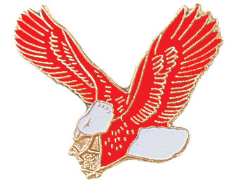 Eagle Mascot Lapel Pin