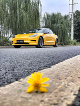 Sunflower Yellow (CG12-HD) Vinyl Wrap