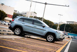 Grau Pearl (RB30-HD) Vinyl Wrap