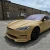 TeckWrap Golden Fleece Gloss Color PPF | Car Paint Protection Film (CPX304)