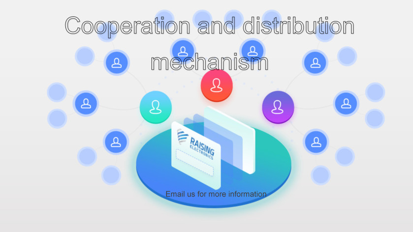 Raising Electronics Brand Registed!