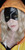 Fat Gum Mask cosplay - Model: punkinpiecosplay