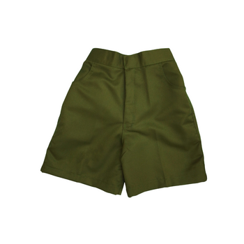 Green Shorts - The Apton School