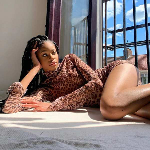 REJEA  leopard mesh sheer see through mini dress long sleeve slit turtleneck bodycon sexy streetwear autumn winter club