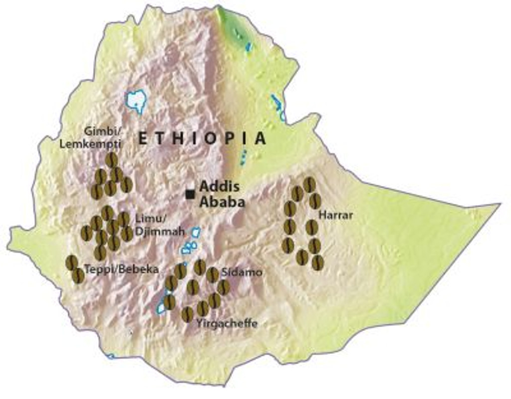 Ethiopia Gera Wet Process 