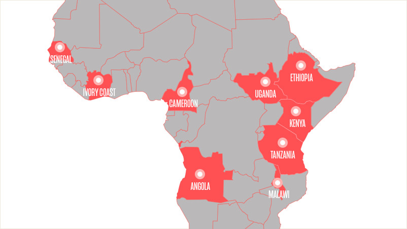 10 HIGHLY RATED AFRICAN COFFEES YOU PROBABLY DON'T KNOW ABOUT Mugsys