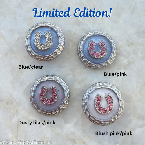 Horseshoe Number Magnets, 4 colors