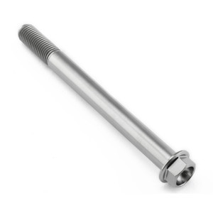 Titanium Flanged Hex Head Bolt M10x(1.25mm)x110mm (25mm Thread)