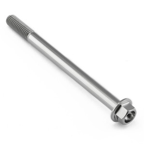 Titanium Flanged Hex Head Bolt M6x(1.00mm)x80mm