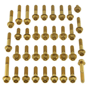 Stainless Steel Engine Kit Kawasaki Ninja ZX-10R Flanged Hex Gold