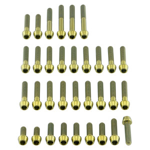 Titanium Engine Kit KTM 125 Duke Gold