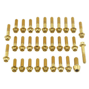 Stainless Steel Engine Kit Yamaha YZF R6 Race Spec Gold