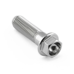 Stainless Steel Flanged Hex Head Bolt M10x(1.25mm)x35mm