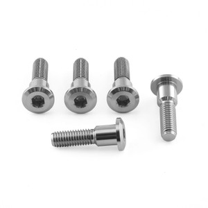 Stainless Steel Disc Bolt To Fit Suzuki M8x33mm Pack x5