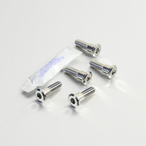 Stainless Steel Disc Bolt To Fit Triumph/KTM M8x30mm Pack x5