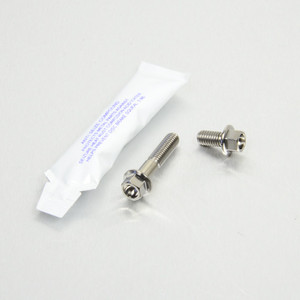 Stainless Steel Rear Disc + Caliper Guard Mount Bolts