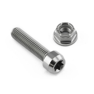 Titanium Exhaust Mount Bolt Kit Torx Drive