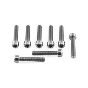 Titanium Front Caliper Pinch Bolt Kit Torx Drive