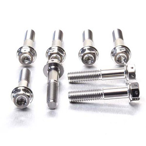 Titanium Front Caliper Pinch Bolt Kit DualDrive