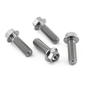 Titanium Rider Footrest Hanger Bolt Kit