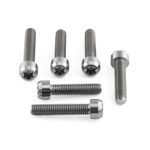 Titanium Top & Bottom Clamp Yoke Pinch Kit Torx Drive Titanium Top & Bottom Clamp Yoke Pinch Kit Torx Drive