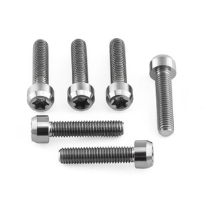 Titanium Top & Bottom Clamp Yoke Pinch Kit Torx Drive Titanium Top & Bottom Clamp Yoke Pinch Kit Torx Drive