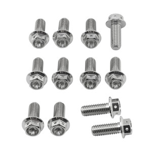 Stainless Steel Disc Bolt M12x(1.00mm)x20mm Front Race Spec Pack x12