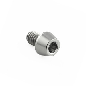 Titanium Socket Cap Bolt M4x(0.70mm)x6mm