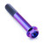 Titanium Flanged Hex Head Bolt M10x(1.25mm)x65mm Purple Haze