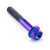Titanium Flanged Hex Head Bolt M4x(0.70mm)x25mm Purple Haze