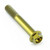 Titanium Flanged Hex Head Bolt M8x(1.25mm)x55mm Gold