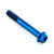 Titanium Flanged Hex Head Bolt M8x(1.25mm)x60mm Blue