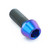 Titanium Socket Cap Bolt M10x(1.50mm)x25mm Purple Haze