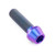 Titanium Socket Cap Bolt M10x(1.25mm)x35mm Purple Haze