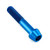 Titanium Socket Cap Bolt M10x(1.50mm)x55mm Blue