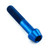 Titanium Socket Cap Bolt M10x(1.25mm)x55mm Blue