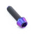 Titanium Socket Cap Bolt M6x(1.00mm)x22mm Purple Haze