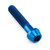 Titanium Socket Cap Bolt M6x(1.00mm)x30mm Blue