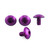 Aluminium Radiator Guard Mount Bolt Kit Purple