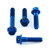Aluminium Brake & Clutch Lever Perch Pinch Bolt Kit Race Spec Etched Blue